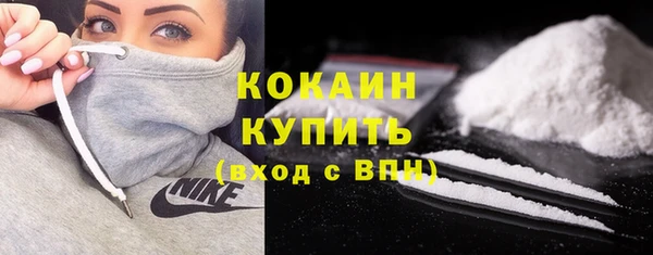 Альфа ПВП Инсар