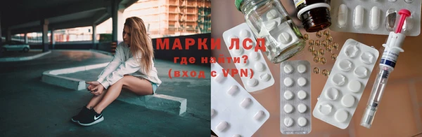 мяу мяу мука Аркадак