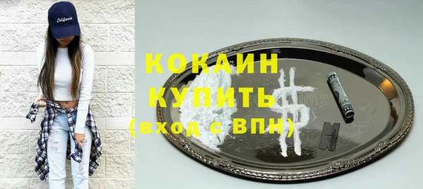 мяу мяу мука Аркадак