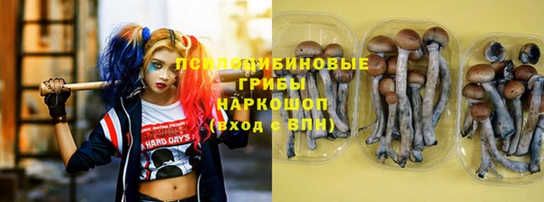 мяу мяу мука Аркадак