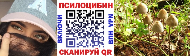 Галлюциногенные грибы Cubensis наркошоп площадка телеграм Белгород гидра tor